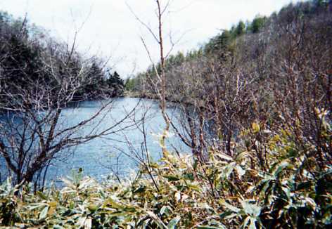 平兵衛池