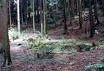 城山城跡の供養塔