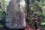 城山城跡の供養碑