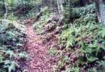 置塩城跡への登山道